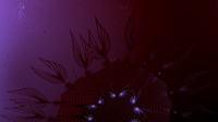 BetaJelly11still