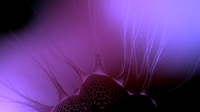 BetaJelly22astill