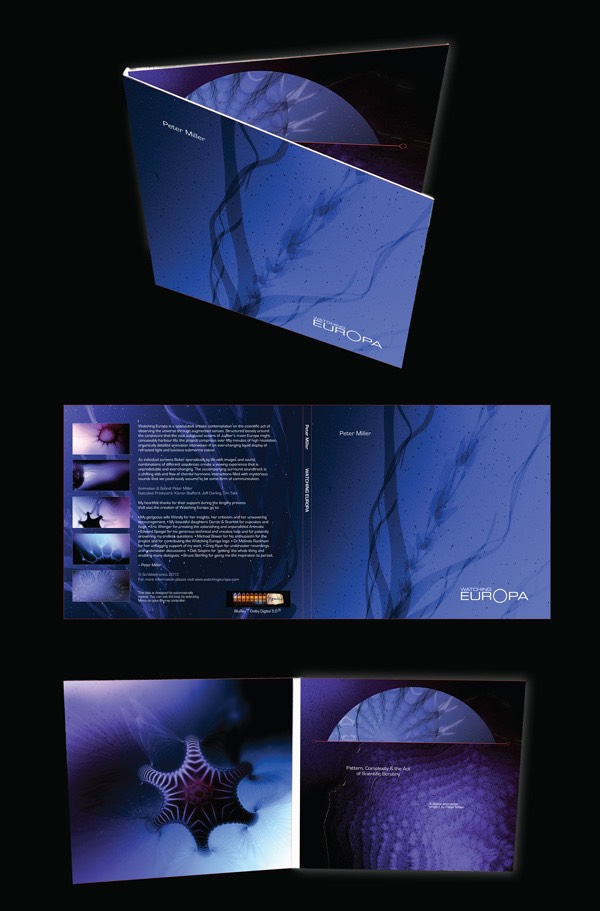 bluraymock