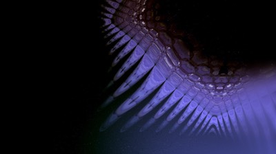 StarJelly2bl.jpg