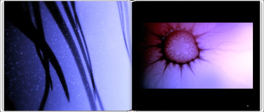 weebook3
